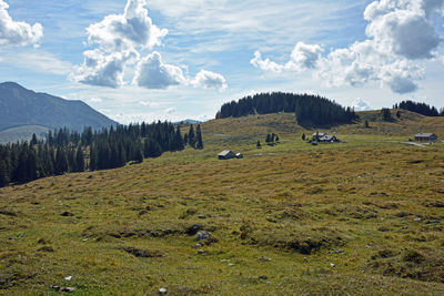 The postalm is an alpine pasture in the municipality of strobl in the province of salzburg