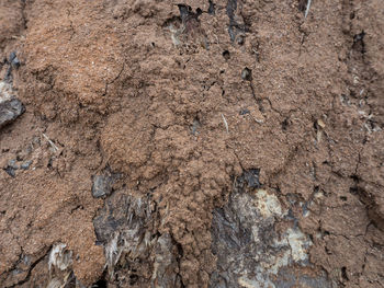 Full frame shot of rocks