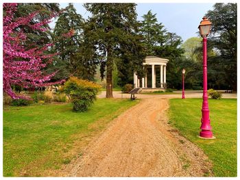 Footpath in park