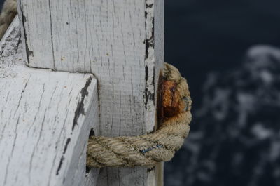 Close-up of wooden plank