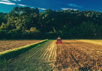 Rear view of man in tractor on agricultural field against trees