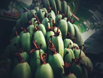 Close-up of bananas