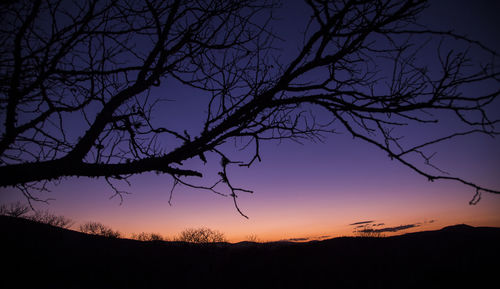 Silhouette bare tree against sky during sunset