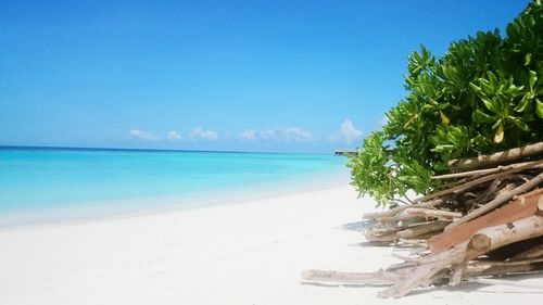 Scenic view of beach against sky