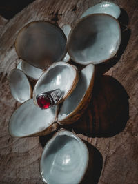 High angle view of shells on table