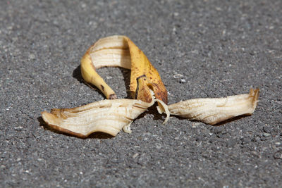 Close-up of banana peel