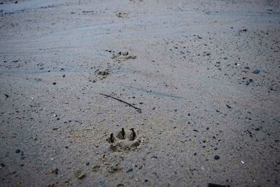 High angle view of footprints on sandy beach