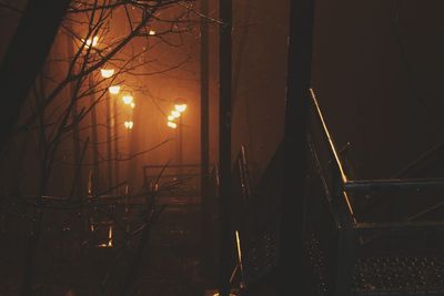 Illuminated trees against sky at night during winter