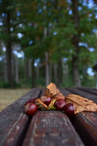 Close-up of fruits on table