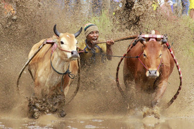 Horse riding