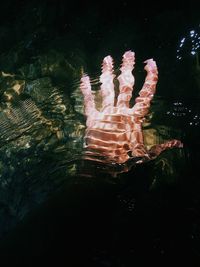 Close-up of hand swimming in lake