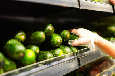 Cropped hand of man holding fruit