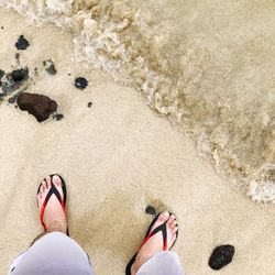 Low section of man standing at beach