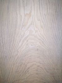 Full frame shot of leaf