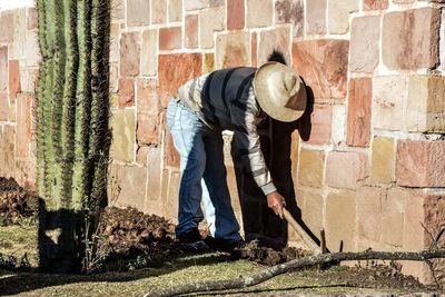 View of man gardening