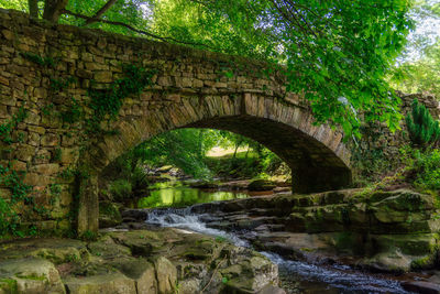 Arch bridge over river in forest