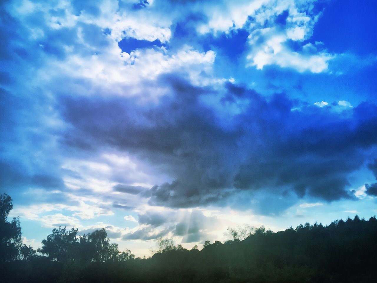 tree, blue, tranquil scene, tranquility, sky, silhouette, scenics, beauty in nature, cloud - sky, nature, growth, cloud, cloudy, day, outdoors, outline, non-urban scene, solitude, no people, cloudscape, remote, majestic, dramatic sky, treetop, storm cloud