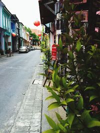 Narrow street along buildings