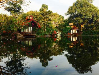 Reflection of trees in water