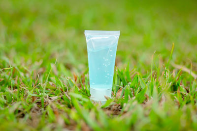 Close-up of green leaf on grass