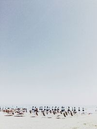 Group of people on beach