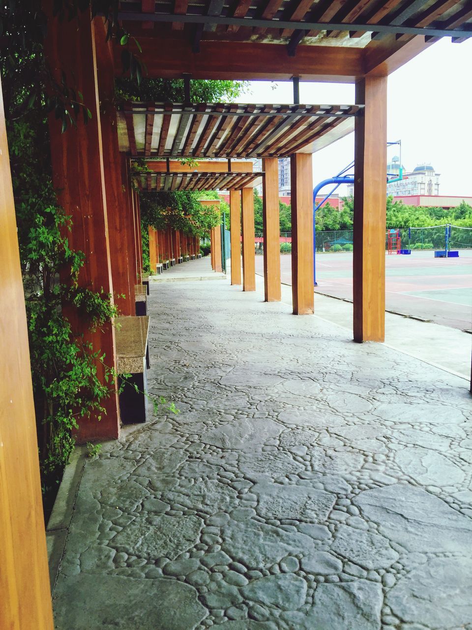 architecture, built structure, the way forward, diminishing perspective, building exterior, architectural column, walkway, empty, vanishing point, narrow, sunlight, in a row, day, absence, column, long, house, pathway, tree, footpath