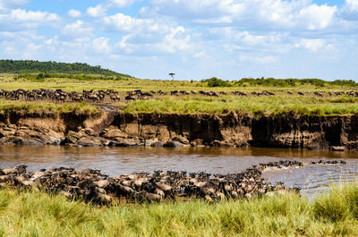Scenic view of waterfall on landscape against sky