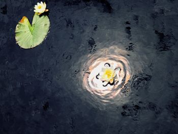 High angle view of person floating on lake