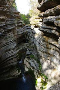 Low angle view of rock formation in forest