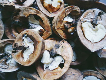 Full frame shot of mushrooms