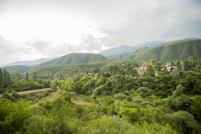 Scenic view of trees and mountains against sky