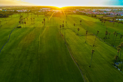 Scenic view of agricultural field against sky during sunset