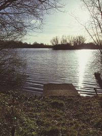 Reflection of tree in lake against sky