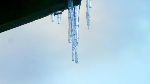 Close-up of icicles hanging against clear sky