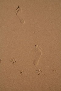 High angle view of footprints on shore