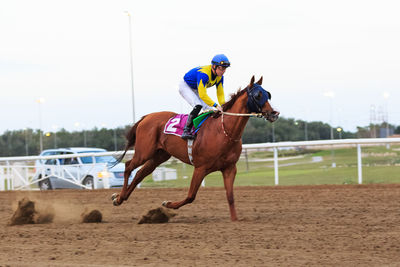 Man riding horse