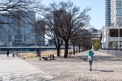 Rear view of man walking on bare trees in city