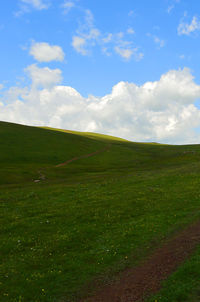 Scenic view of field against sky