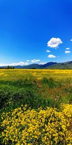 Scenic view of field against cloudy sky