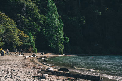 People on beach by trees in forest