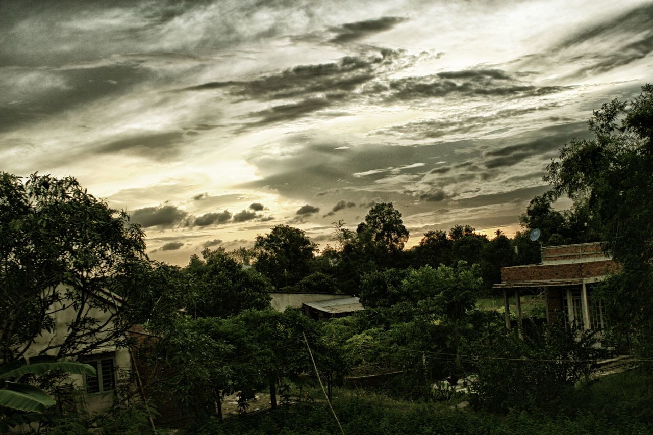 tree, sky, cloud - sky, tranquility, tranquil scene, landscape, scenics, nature, beauty in nature, cloudy, growth, built structure, cloud, field, architecture, idyllic, outdoors, non-urban scene, house, no people