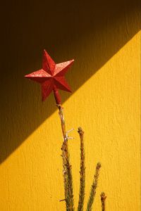 Close-up of red plant against wall