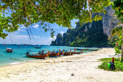 Sailboats moored on beach against sky