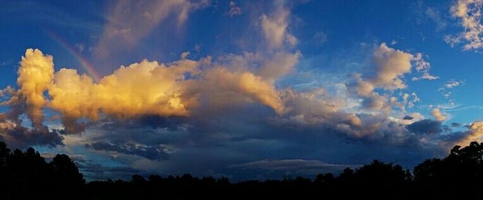 Low angle view of silhouette trees against sky