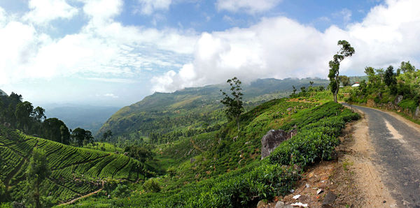 Panoramic view of green landscape against sky