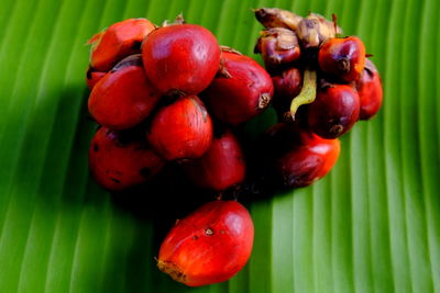 Close-up of cherries