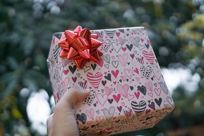 Cropped hand holding gift box against trees