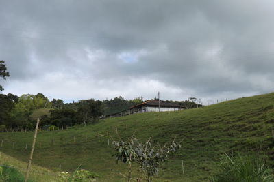 Scenic view of grassy field against cloudy sky