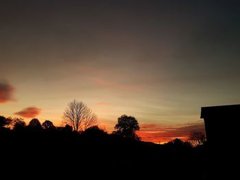 Silhouette trees against sky during sunset