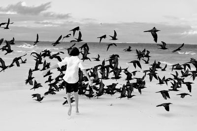 Teenager on beach with birds